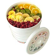 Сушилка для овощей Славда DVN31-500/5 (белый)